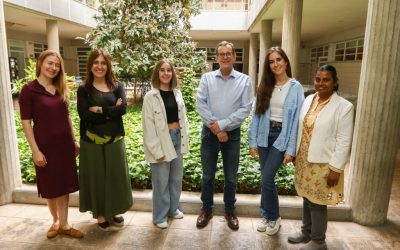 Las alternativas vegetales procesadas no siempre son más saludables, advierte un estudio liderado por la URV